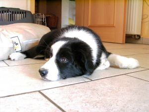 300Bunny Juli06-02 033.jpg